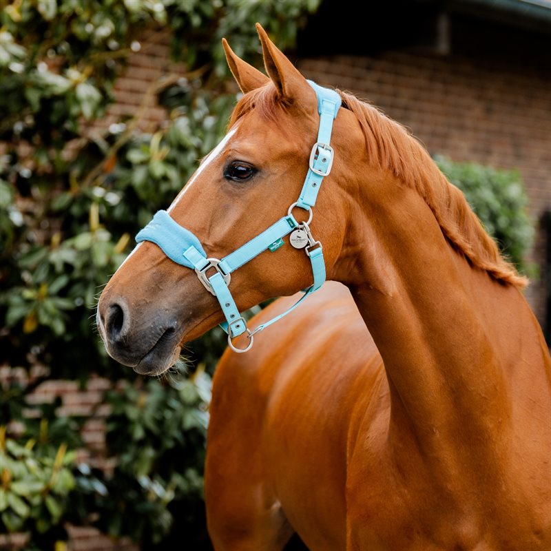 Horseware Signature Grooming Headcollar