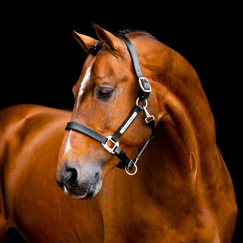 Horseware Signature Leather Headcollar