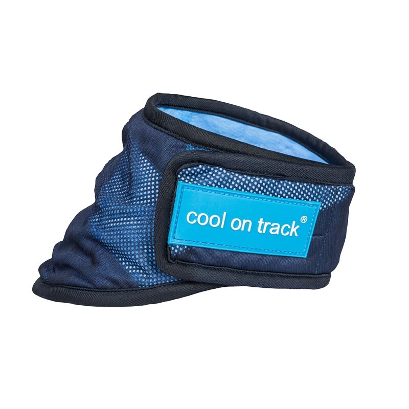 Back On Track Cooling bandana