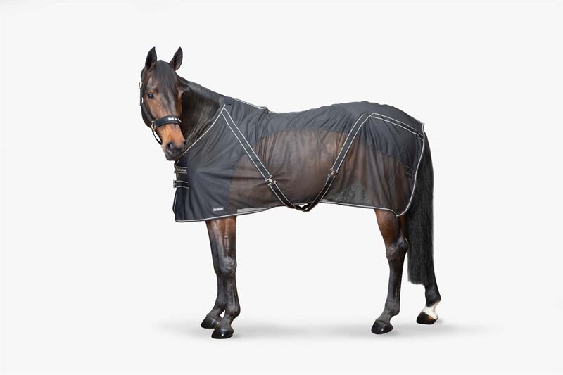 Back On Track Sienna Mesh rug