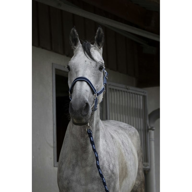Equithème Licol Satiné + Longe