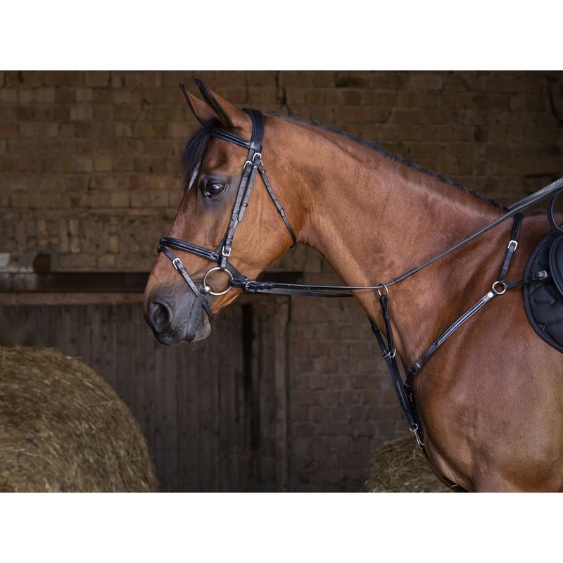 Eric Thomas Hybrid Breastplate