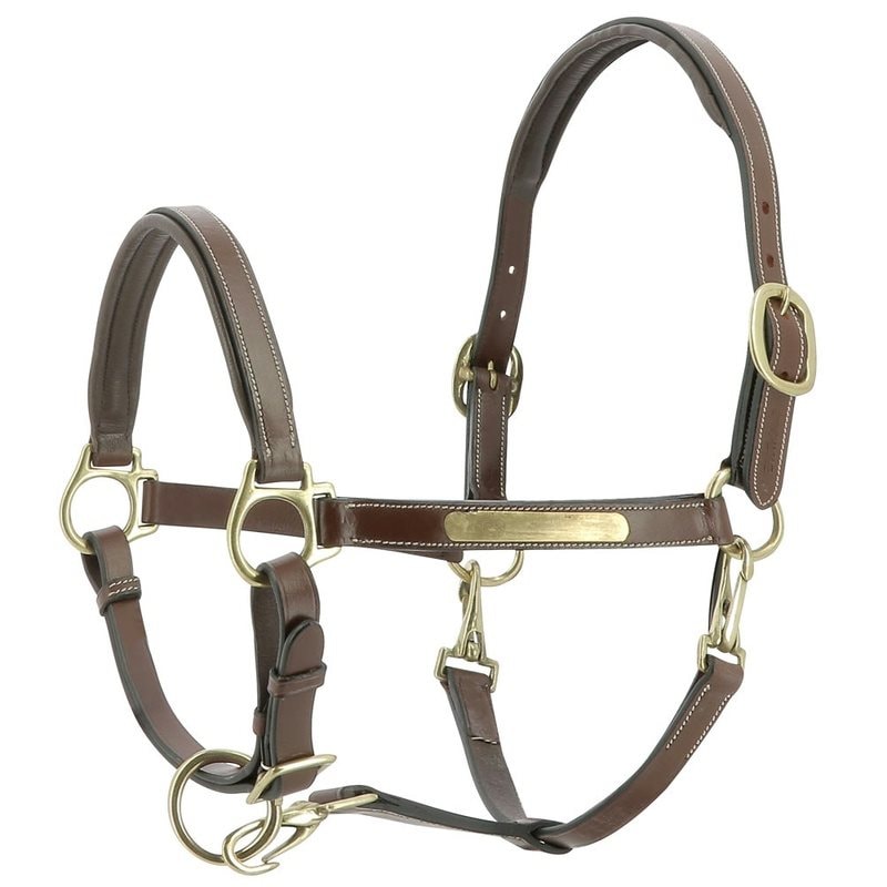 Eric Thomas Pro Leather Grooming Headcollar