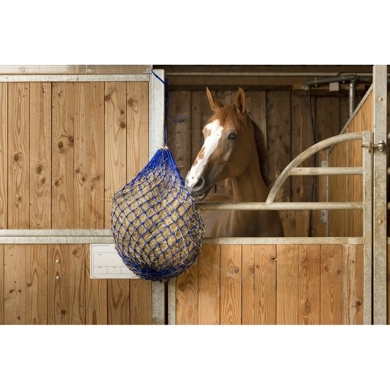 Hippotonic PU Hay Net with Rings