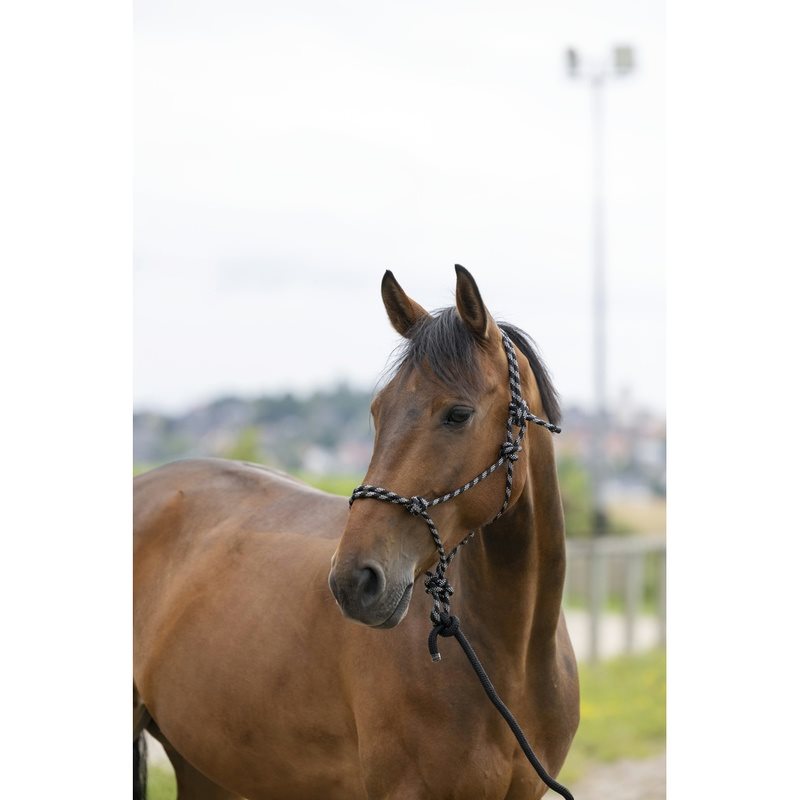 Norton Eco Ethological Headcollar & Lead Rope