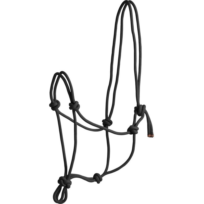 Norton First Rope Headcollar