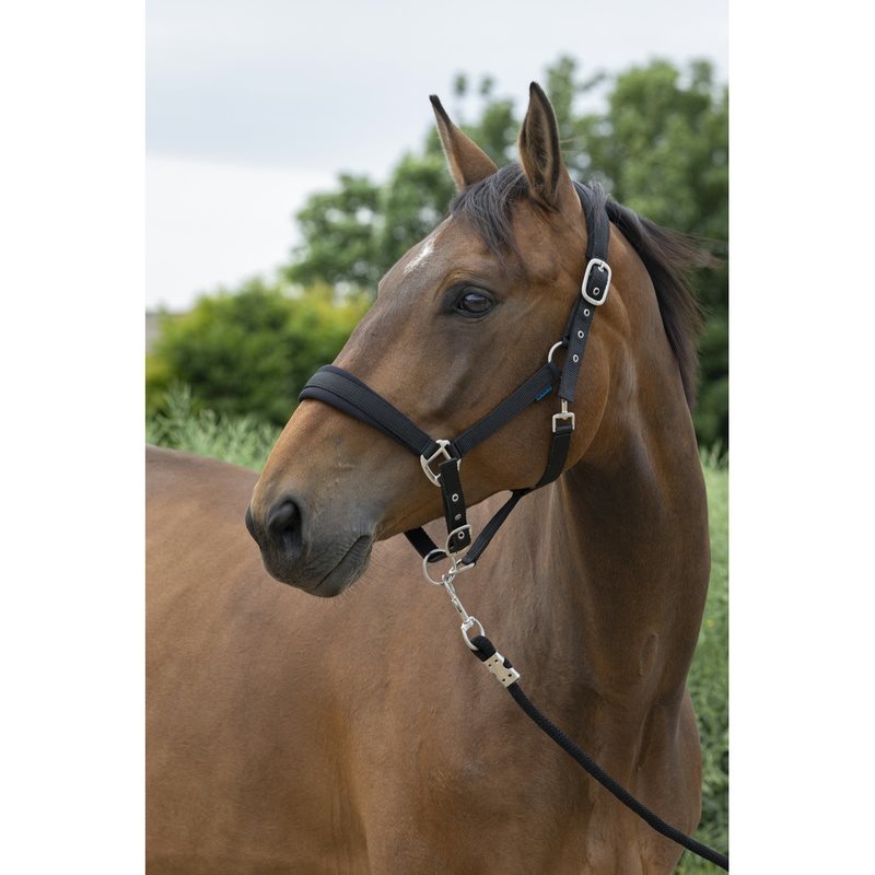 Norton Large Headcollar + Lead Rope