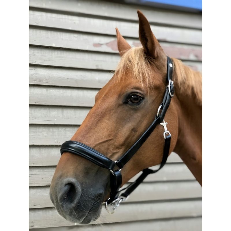 Norton Pro Anatomical Head Collar