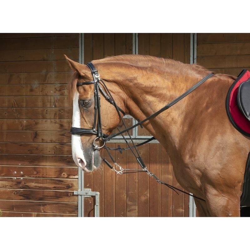 Norton Pro Gogue With Pulleys