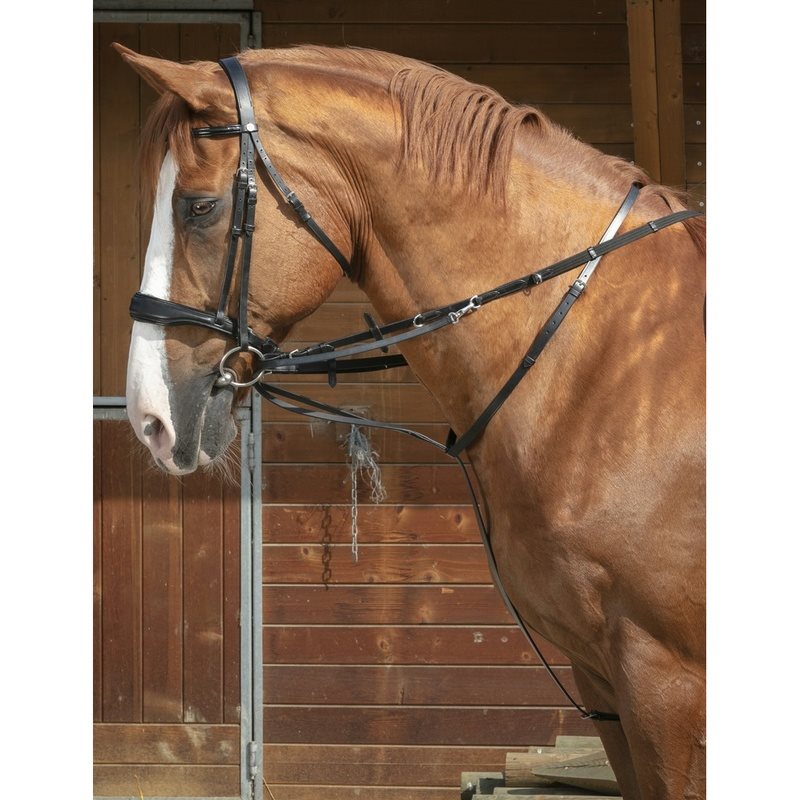 Norton Pro Thiedeman Side Reins