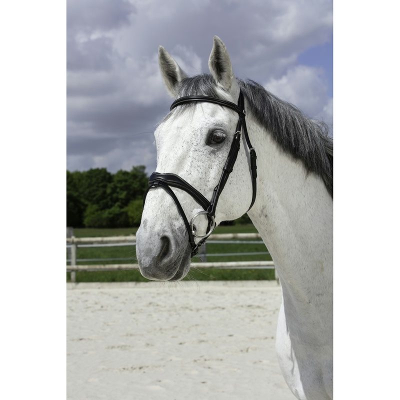 Norton Pro Vague Bridle