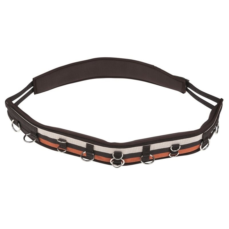 Norton syntetisk longeringsgjord