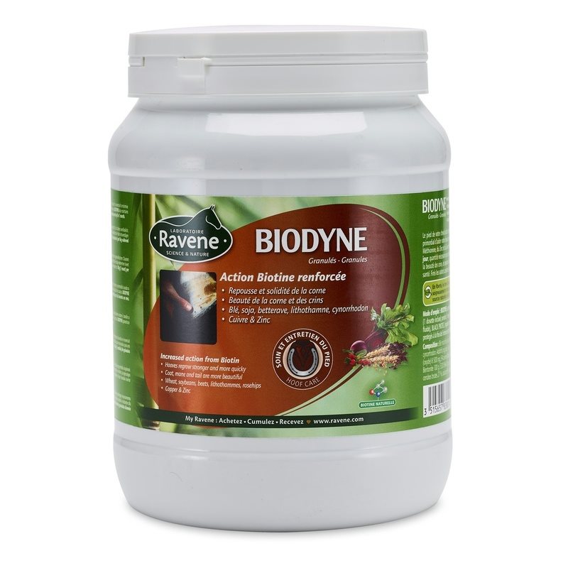 Ravene Biodyne 1kg