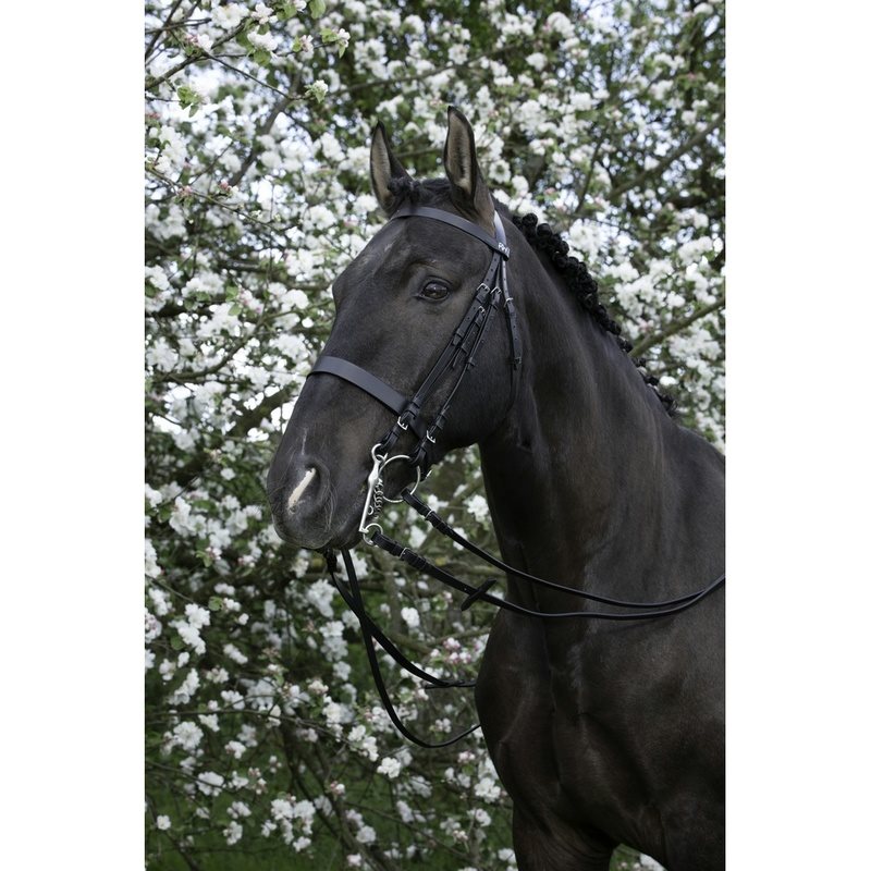 Bride Weymouth Riding World
