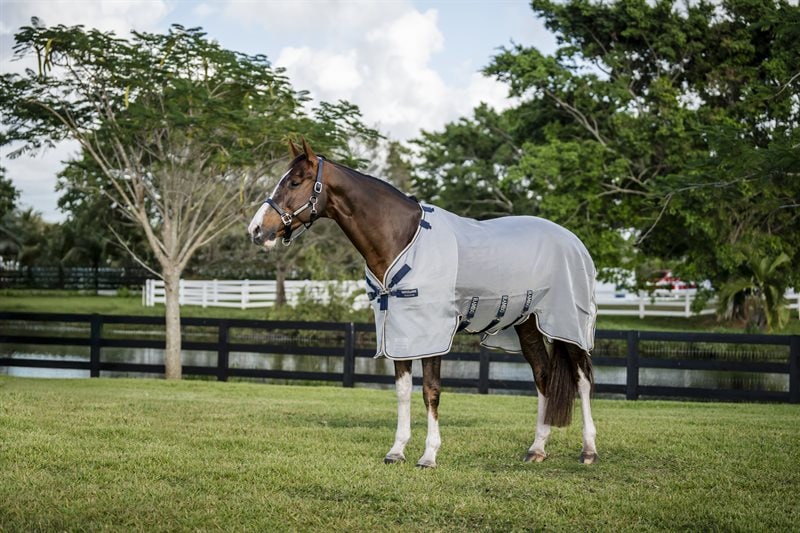 Horseware Rambo Protector