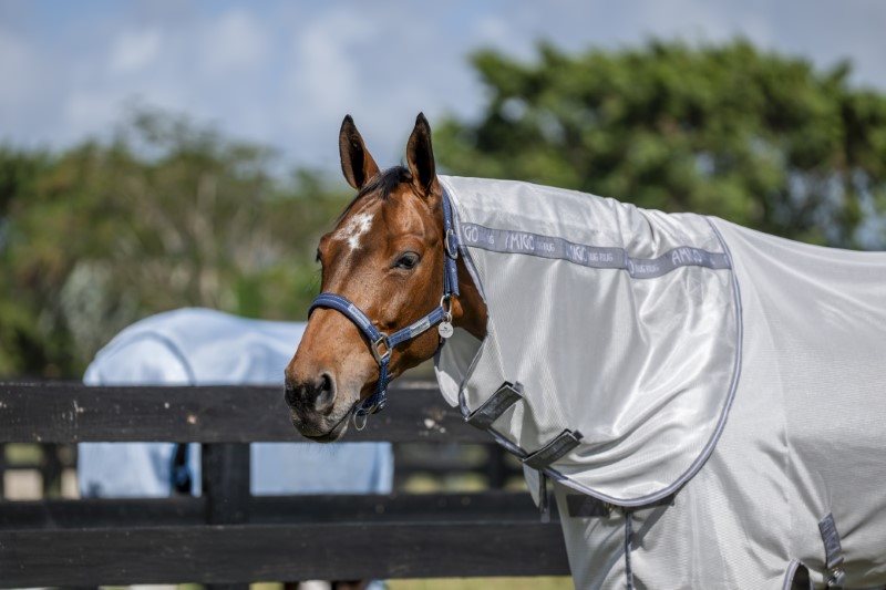 Horseware Amigo Bug Rug Hood