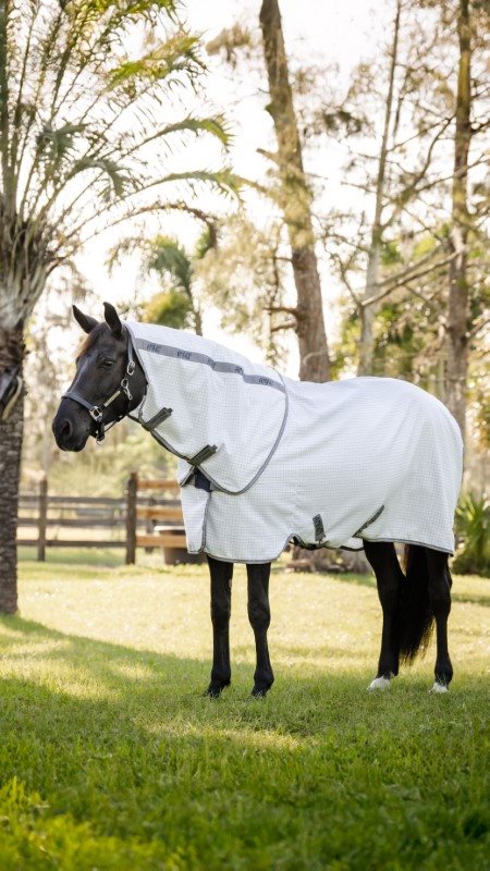 Horseware Amigo Summer Sheet Plus