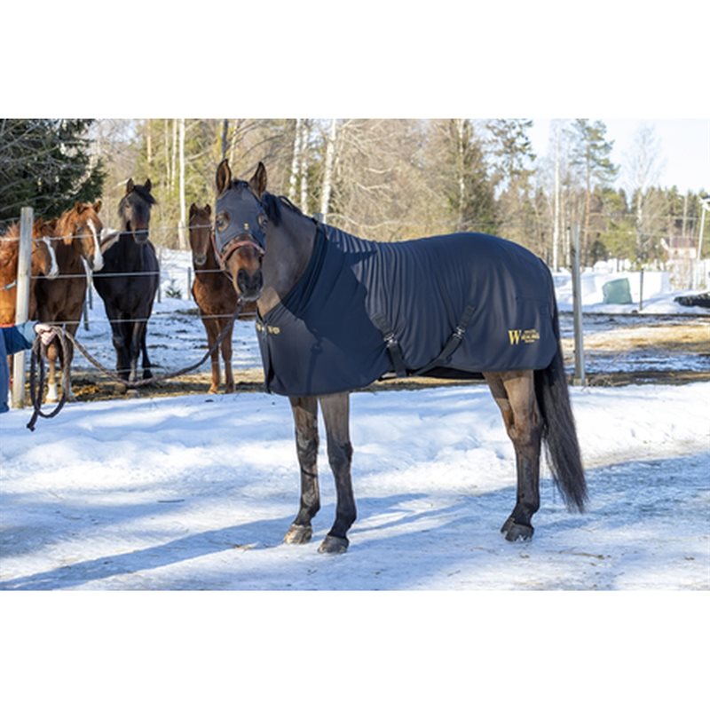 Wahlsten Healing Titanium Single Layer Sheet