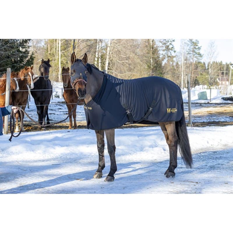 Wahlsten Healing Titanium Single Layer Sheet