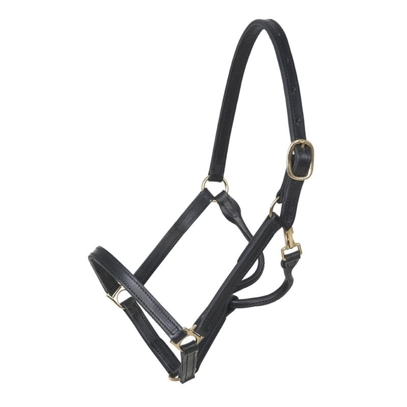 Wahlsten Premium Halter Yank Model, Closed From The Nose