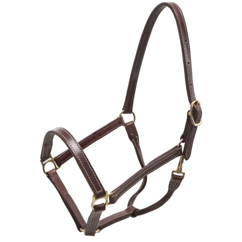 Wahlsten Premium Halter Yank Model, Closed From The Nose