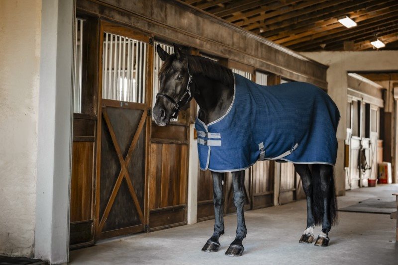 Horseware Rambo® Techni Waffle Cooler