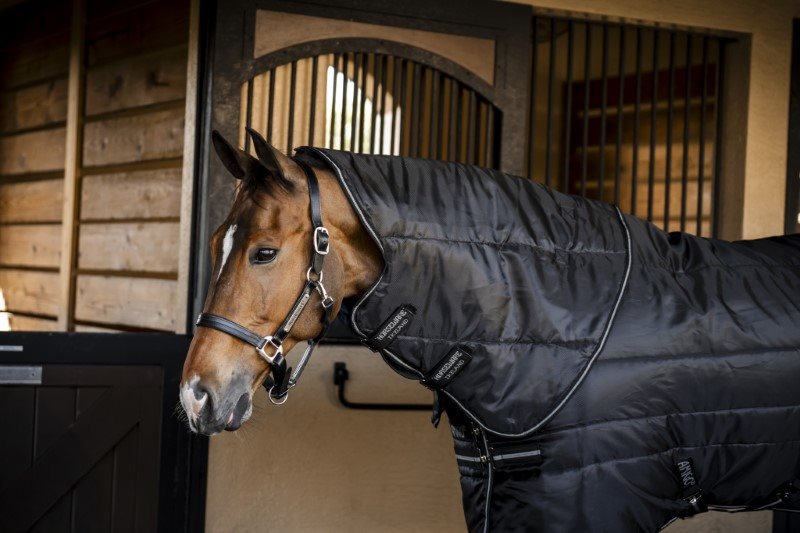 Capuche d'écurie isolante Amigo Ripstop 200g par Horseware