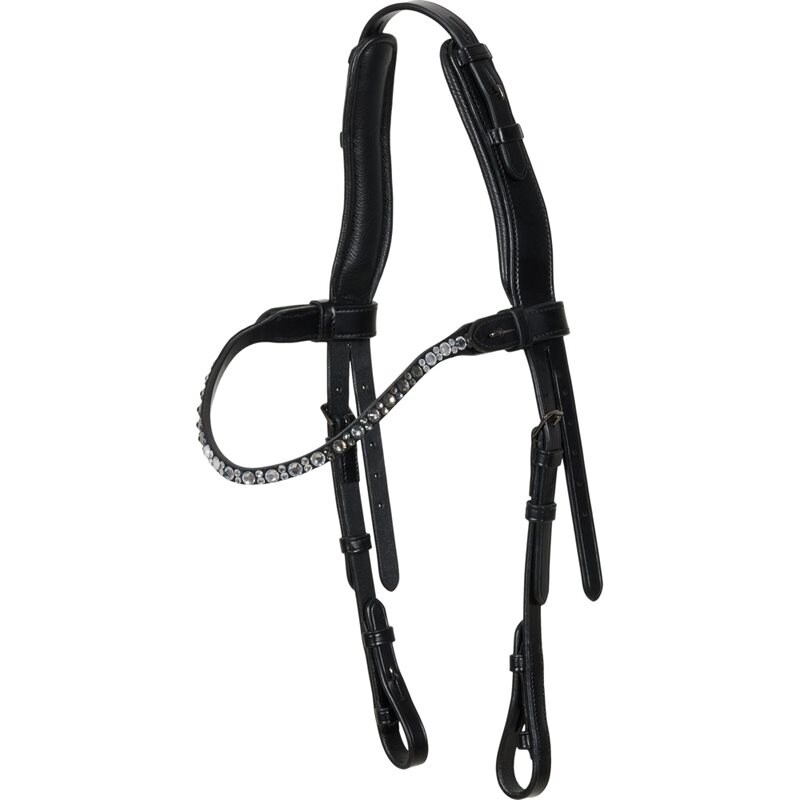 Catago Têtière de Bride Islandaise