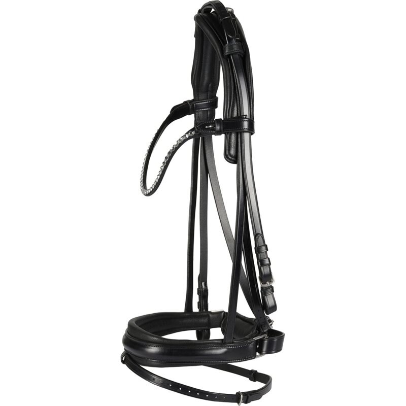 Catago Savi Bridle