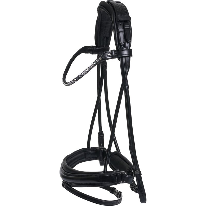 Catago Shay Rolled Bridle