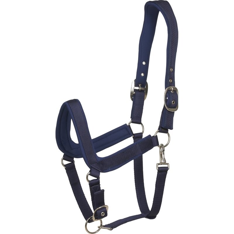 HorseGuard Anatomic Halter