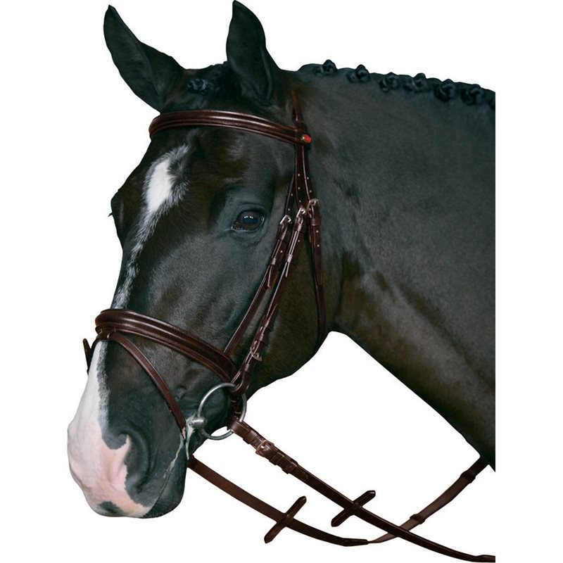 HorseGuard Bridle w Super Grip