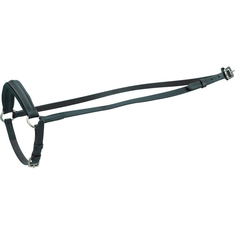 HorseGuard Cheval Drop Noseband