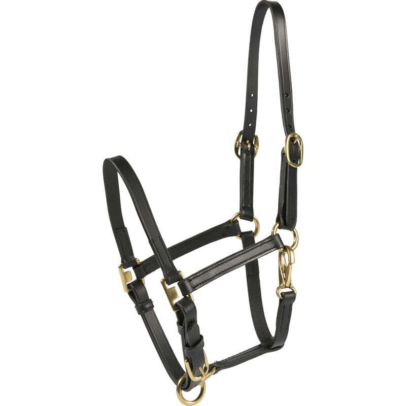 HorseGuard Cheval Foal Halter
