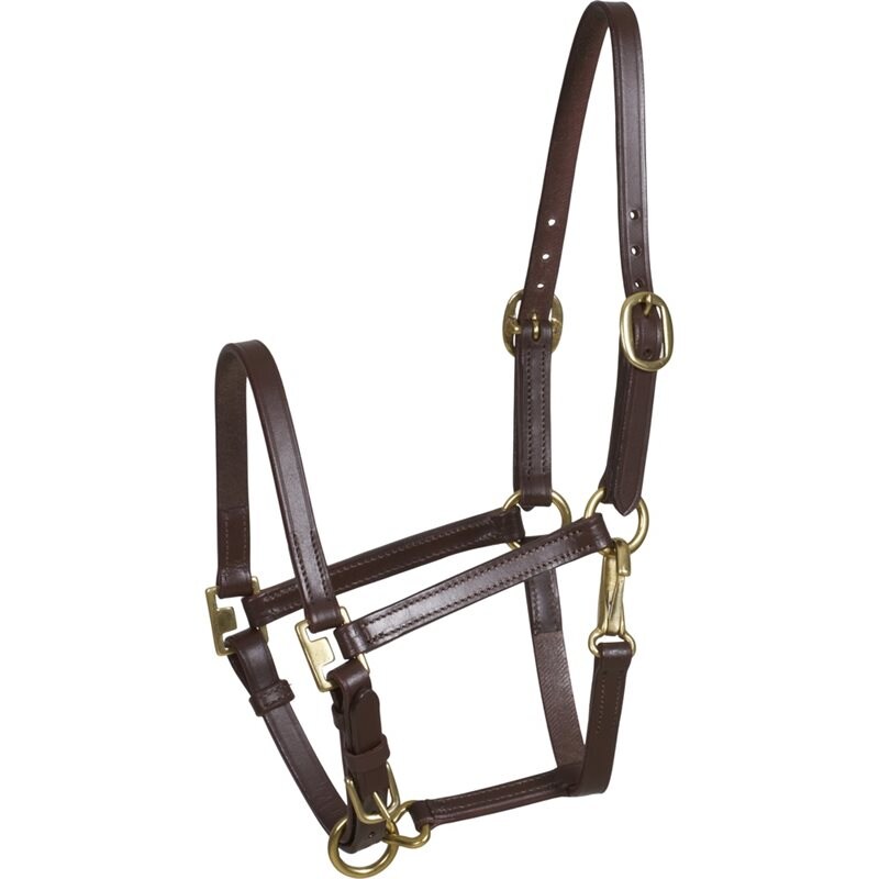 HorseGuard Cheval Licou Poulain