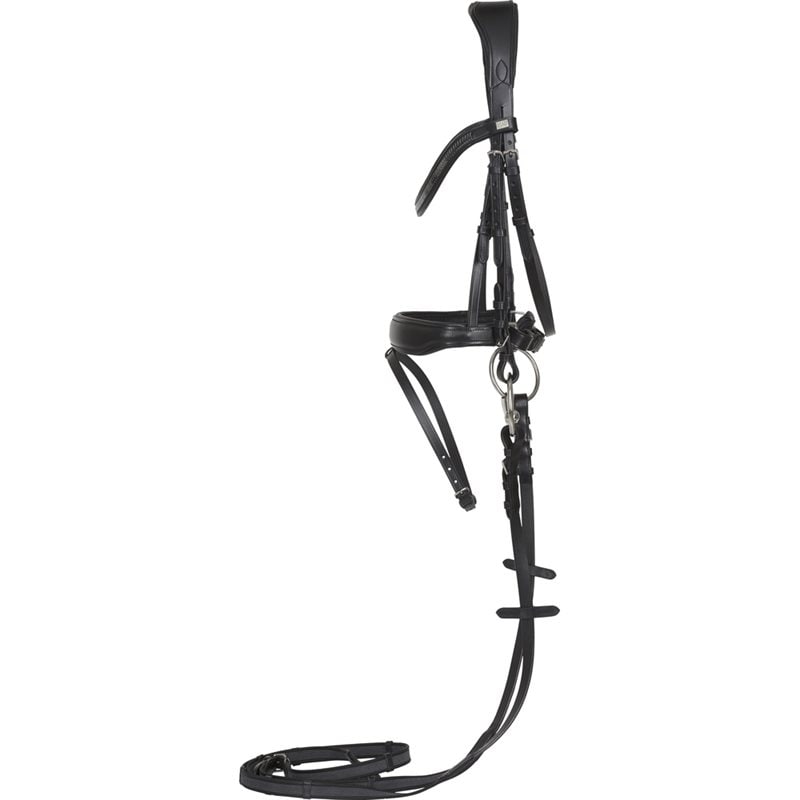 HorseGuard Ergo Light Bridle