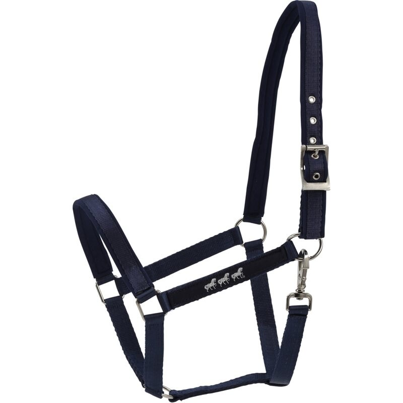 HorseGuard Halter with Neoprene
