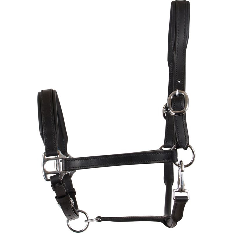 HorseGuard Leather Halter