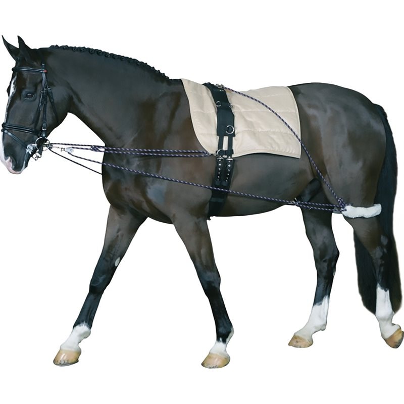 Système de longe HorseGuard