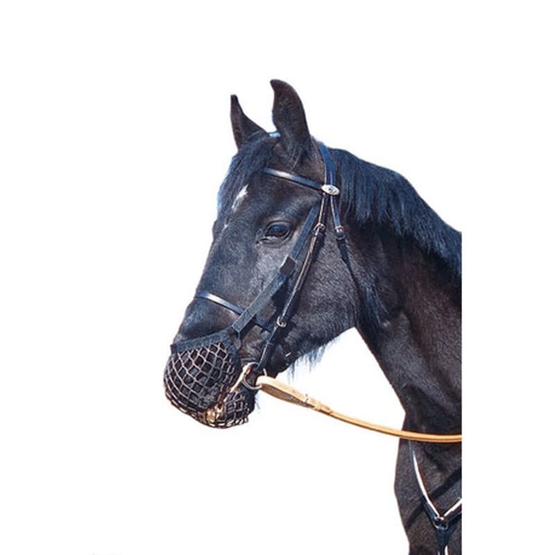 Wahlsten Premium Cave Netson