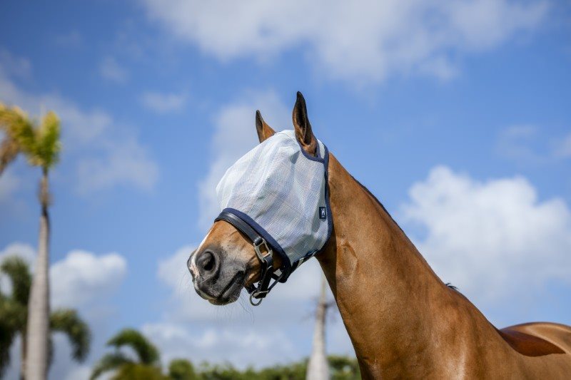Horseware Newmarket Fly Mask (No Ears)