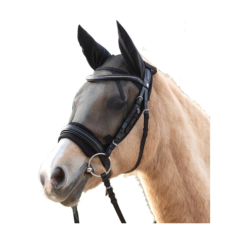 Fly Mask ride