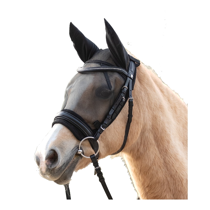 Fly Mask ride