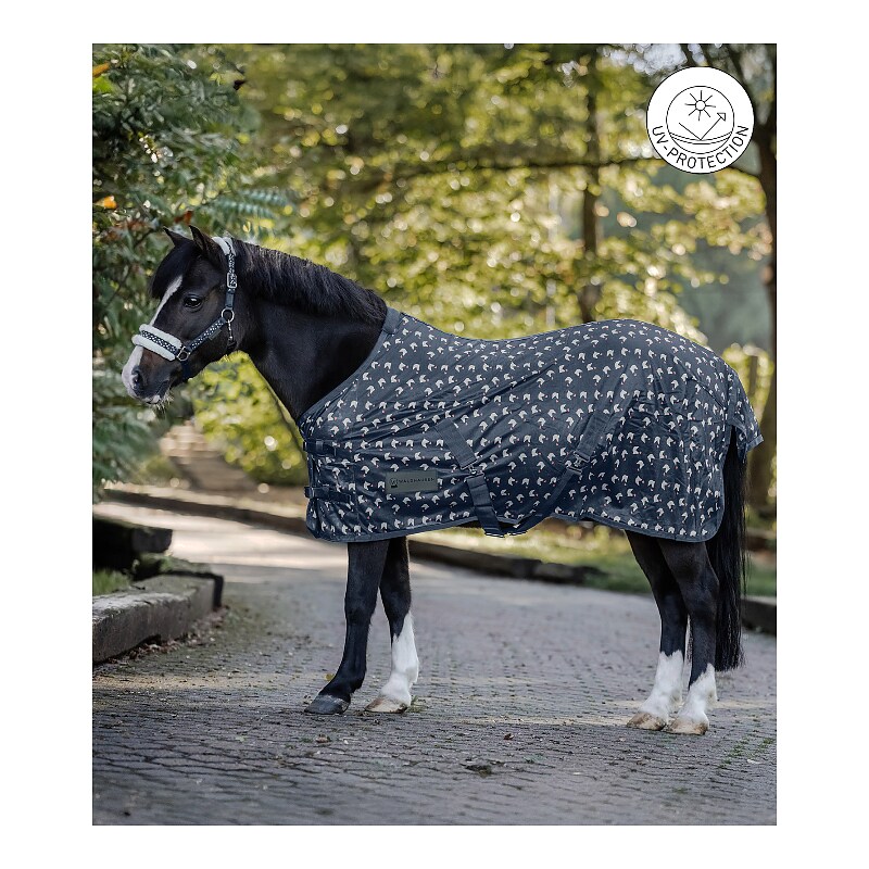 Fly rug Lucky