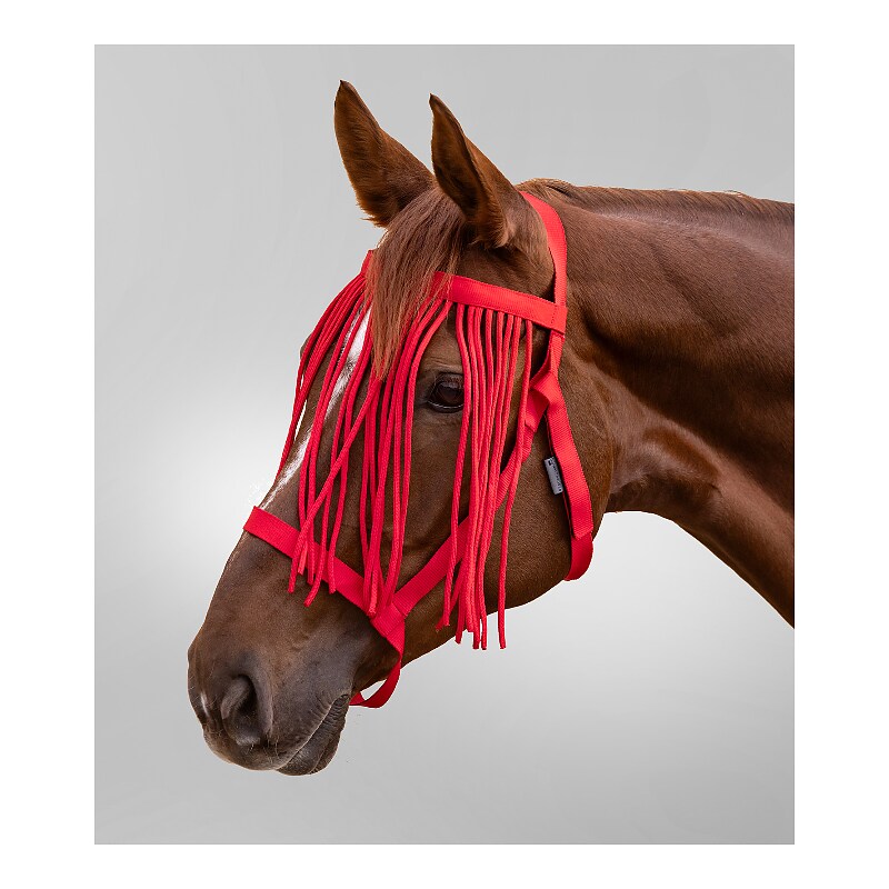 Grazing halter with Fly Fringe