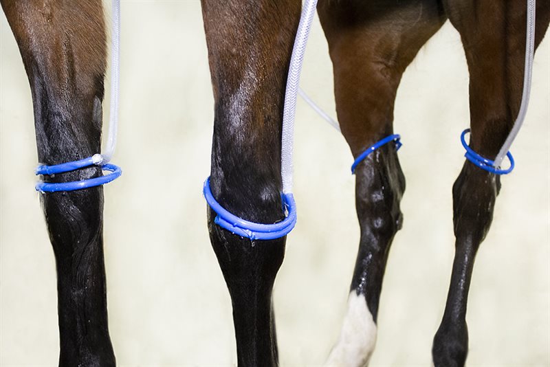 Finntack Leg soaker system