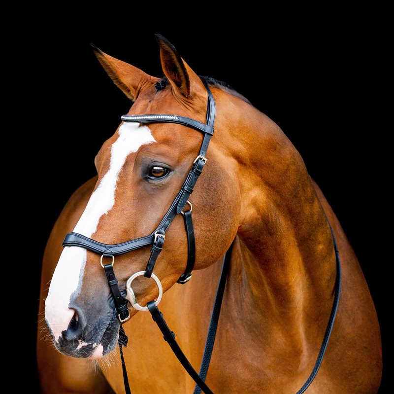 Horseware Micklem® 2 Diamante Competition Bridle