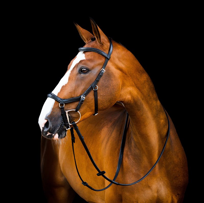 Filet de concours Horseware Rambo Micklem 2 Deluxe avec rênes