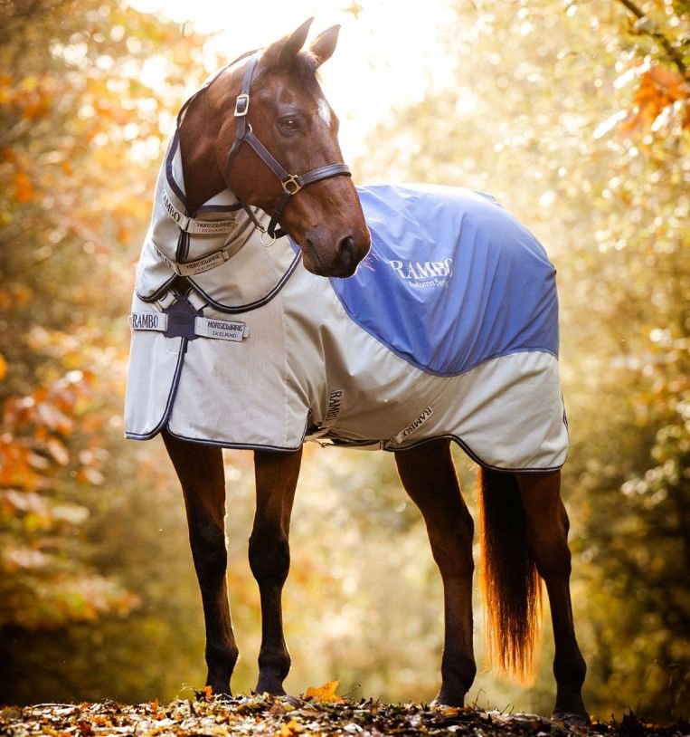Horseware Rambo® Autumn Series Turnout (0g Outer with 100g Liner)