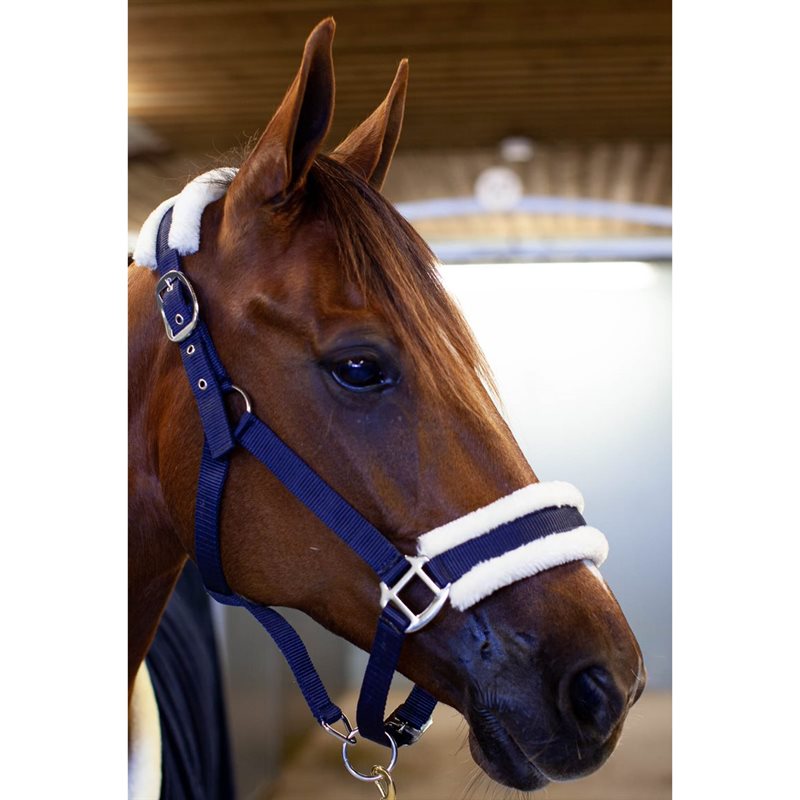 Equestrian Essentials Halter with Faux Fur Lining